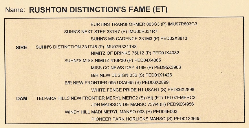 Rushtons Distinction Fame